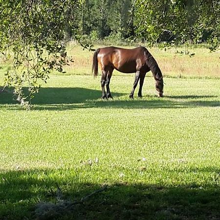 Kokomo Farms Live Oak Zewnętrze zdjęcie