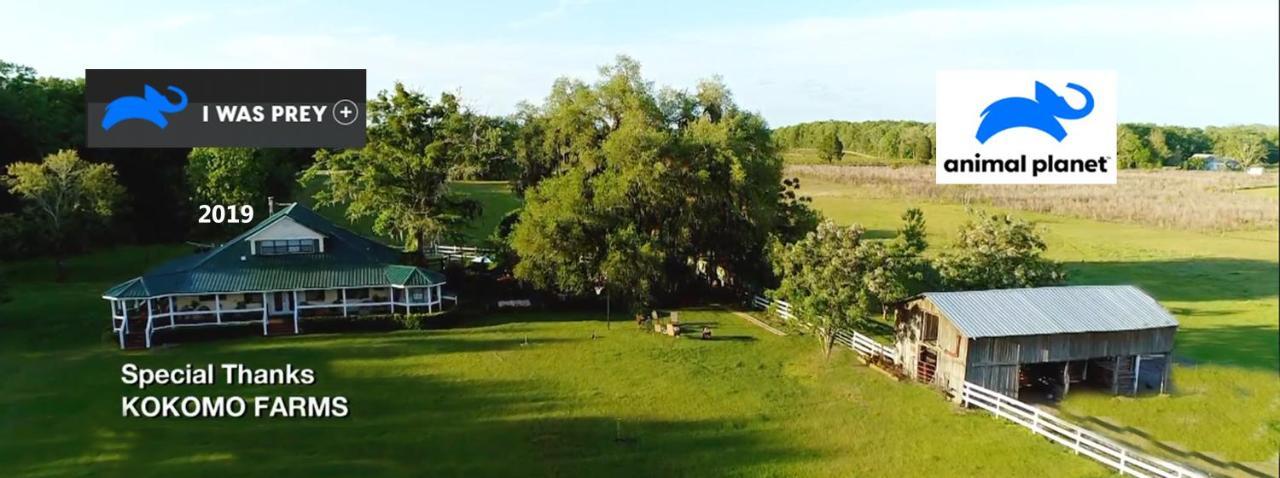 Kokomo Farms Live Oak Zewnętrze zdjęcie