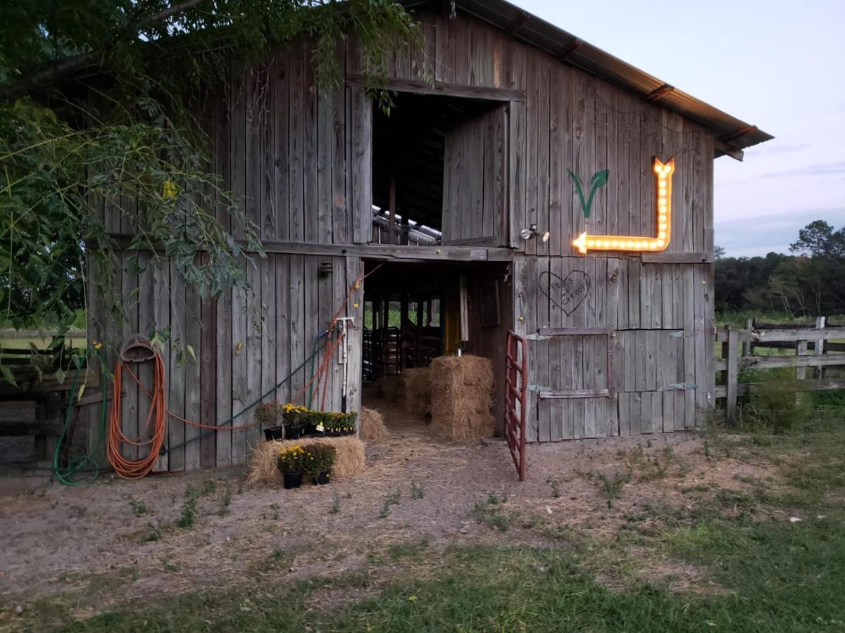 Kokomo Farms Live Oak Zewnętrze zdjęcie