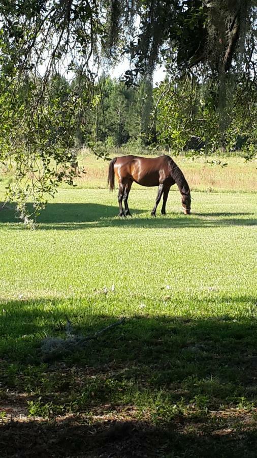 Kokomo Farms Live Oak Zewnętrze zdjęcie